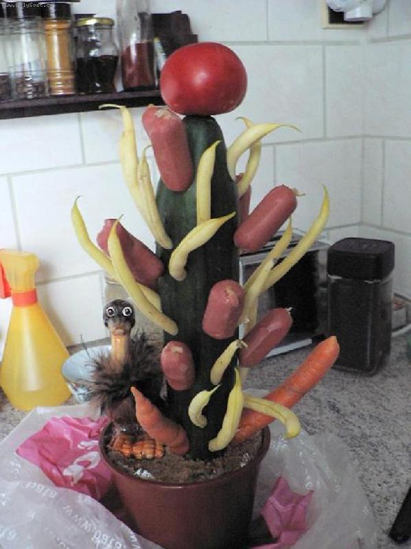 Foto: jsem k se�r�n�