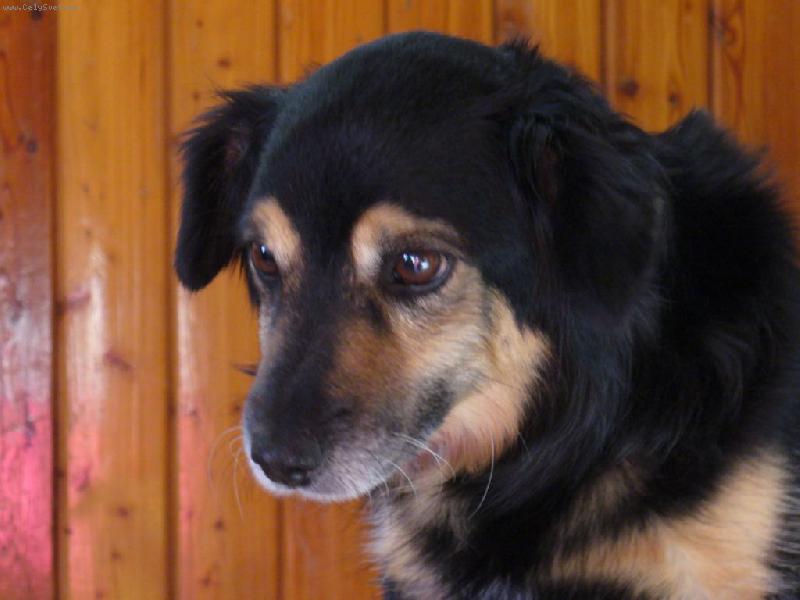 Foto: Ben�k-Je�t� neodch�zej