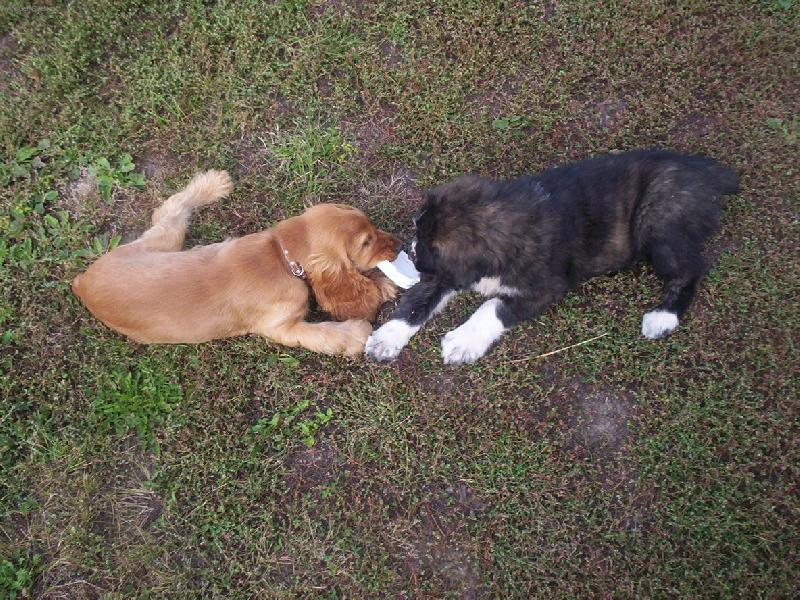 Foto: Keny a Arte�ek