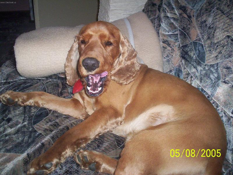 Foto: N� keny-hol�tko