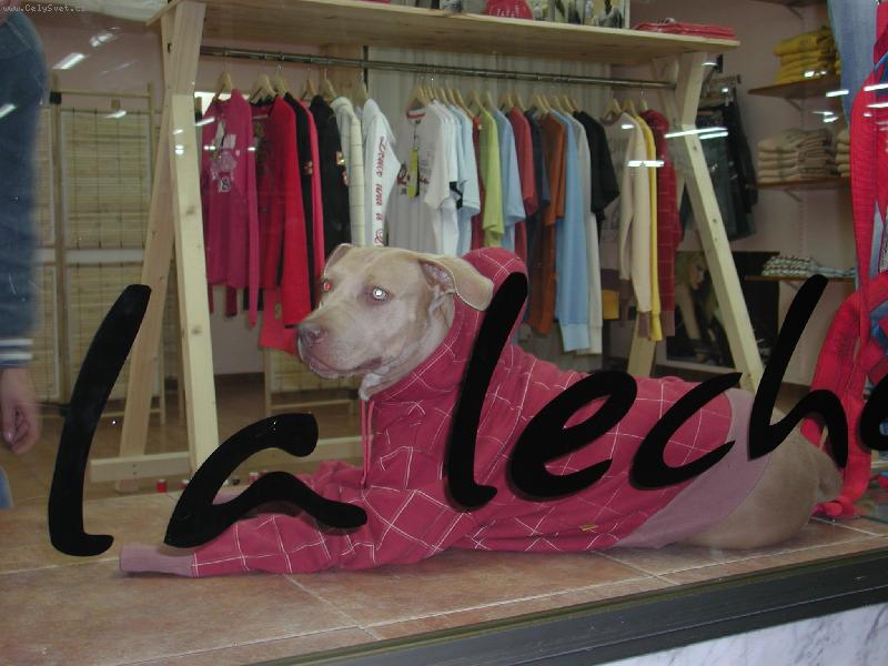 Foto: modeling me bavi:)