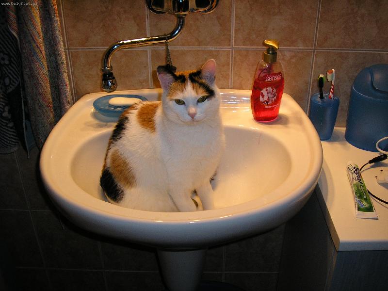 Foto: Rann� hygiena