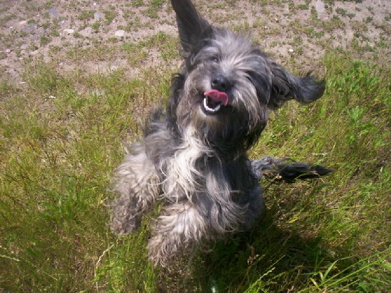 Foto: Ben��ek-Co dodat:o)) Momentka