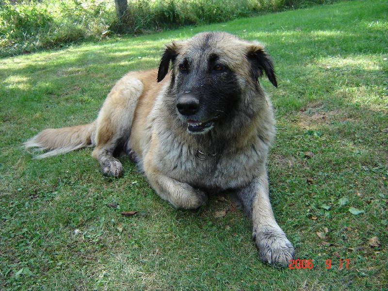 Foto: Rita-mazl��ek