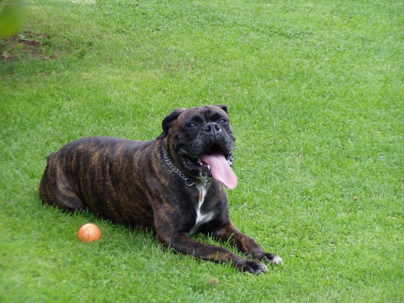 Foto: Kdo m� del��?