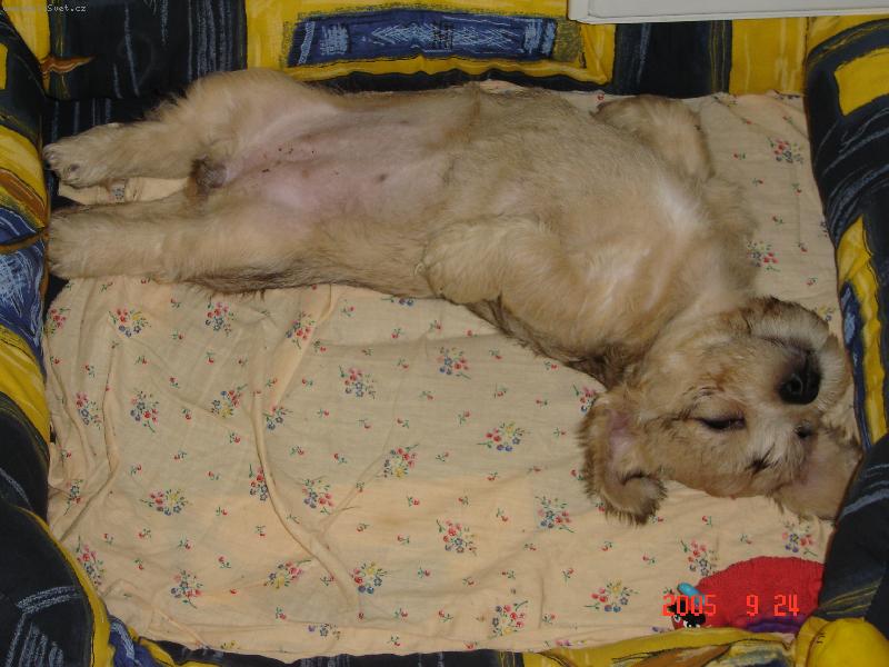 Foto: Nechte m� v klidu vyspat!!!