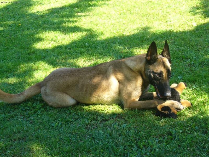 Foto: Nikomu nic nep�j��m