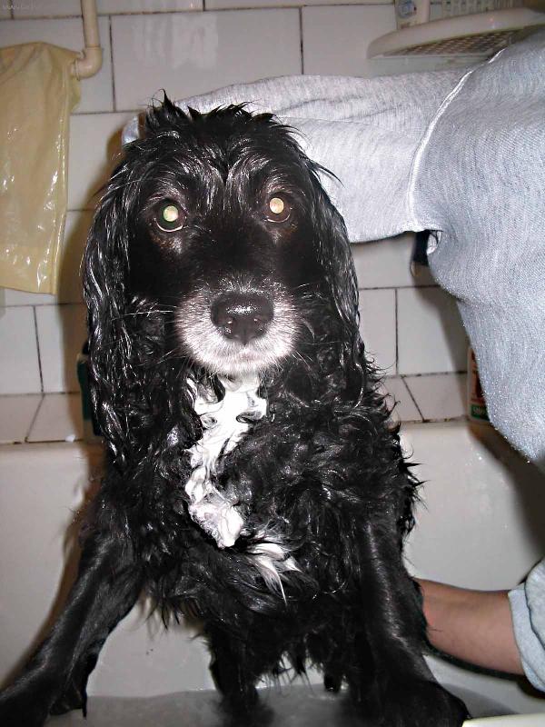 Foto: KOUP�N�-Pus�te m� ven!!!