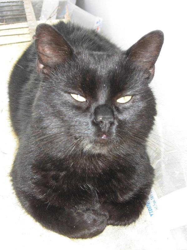 Foto: M�our�n�-Ani sp�t m� nenechaj�!