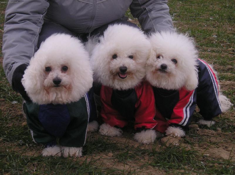 Foto: Na�� mil��ci