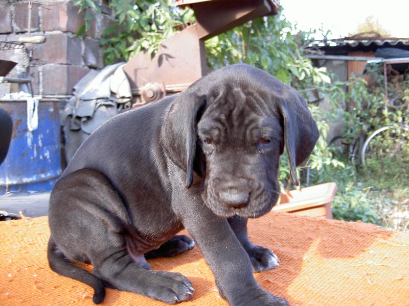 Foto: Je mi tu smutno...kde jste kdo??