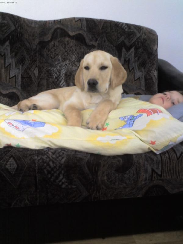 Foto: Denny a Romanek