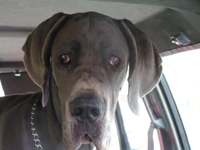 Foto: Na le-ti-�t�?!