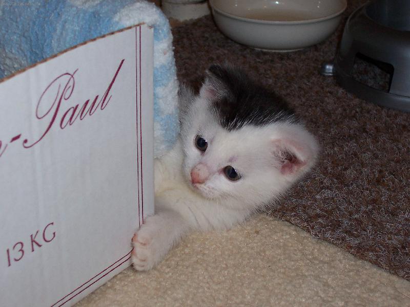 Foto: Mal� Cecilka