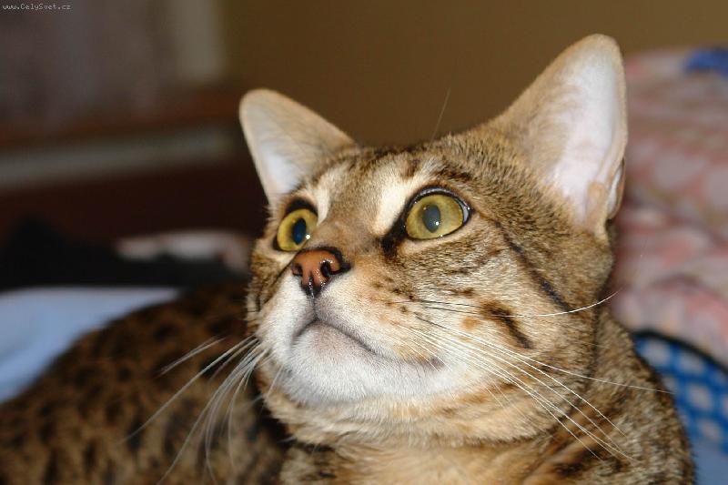 Foto: Tamhle n�co let�