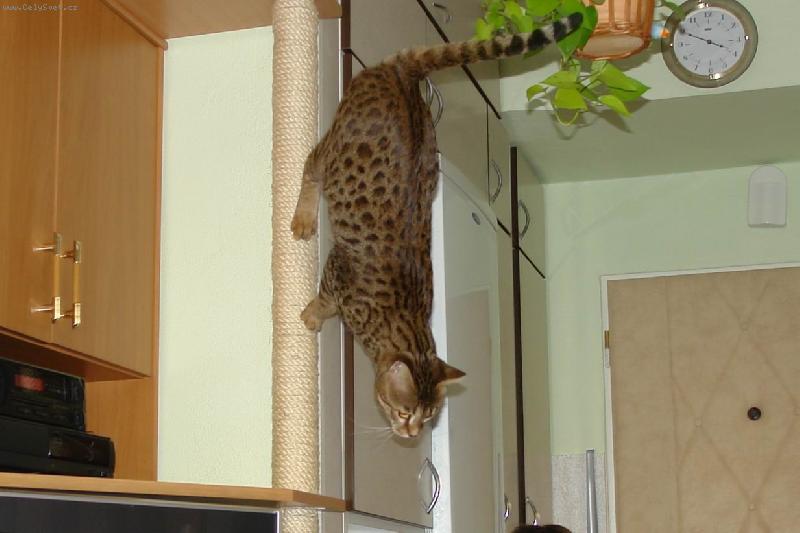 Foto: Dolu je to nejleh��