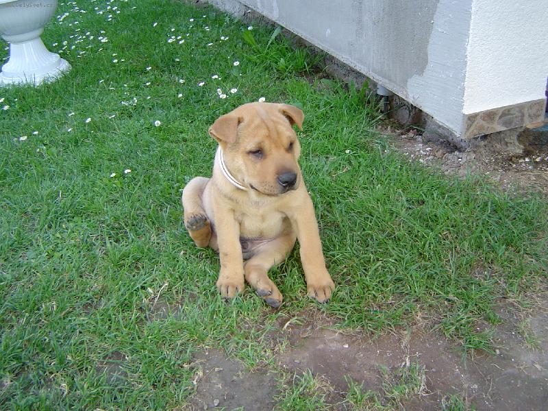 Foto: mim�......n�co m� sv�d�....