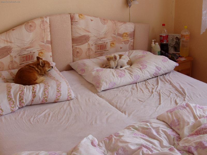 Foto: J� tady, ty tam.