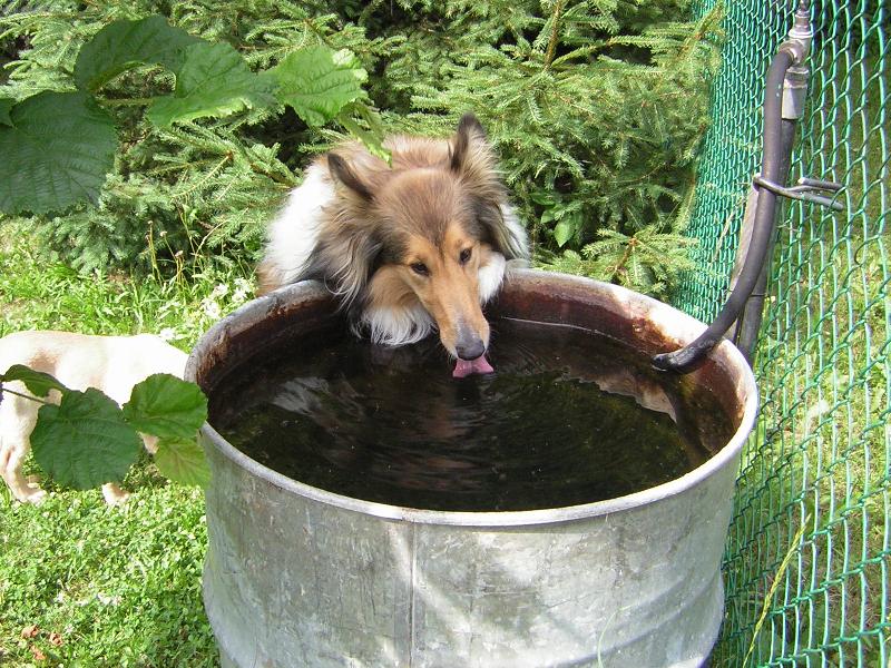 Foto: To je ��ze�