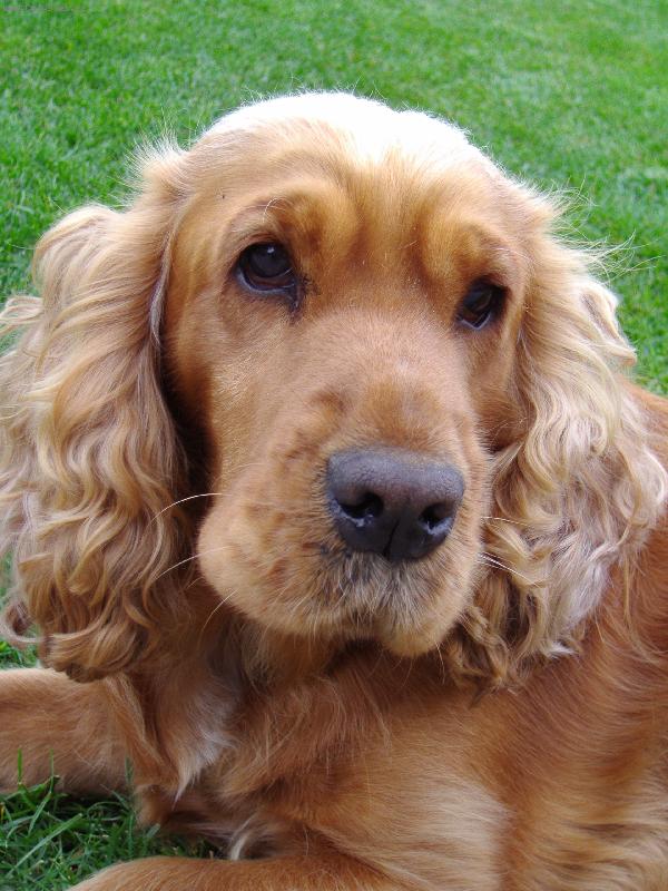 Foto: na�e Sindynka-:-)