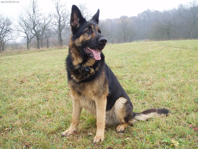 Foto: Pssst-N�co asi vid�m...