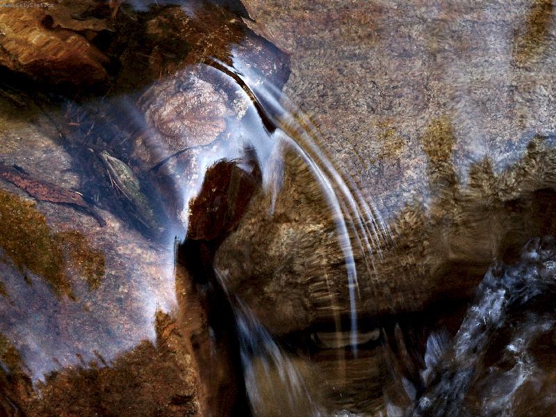 Foto: Pot��ek v Kru�n�ch hor�ch