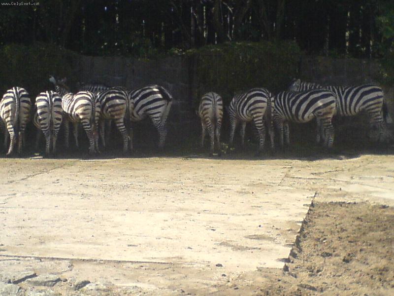 Foto: kr�sn� pozad�...