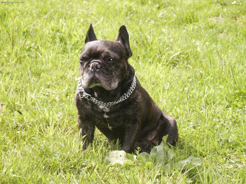 Foto: Odpoledn� siesta