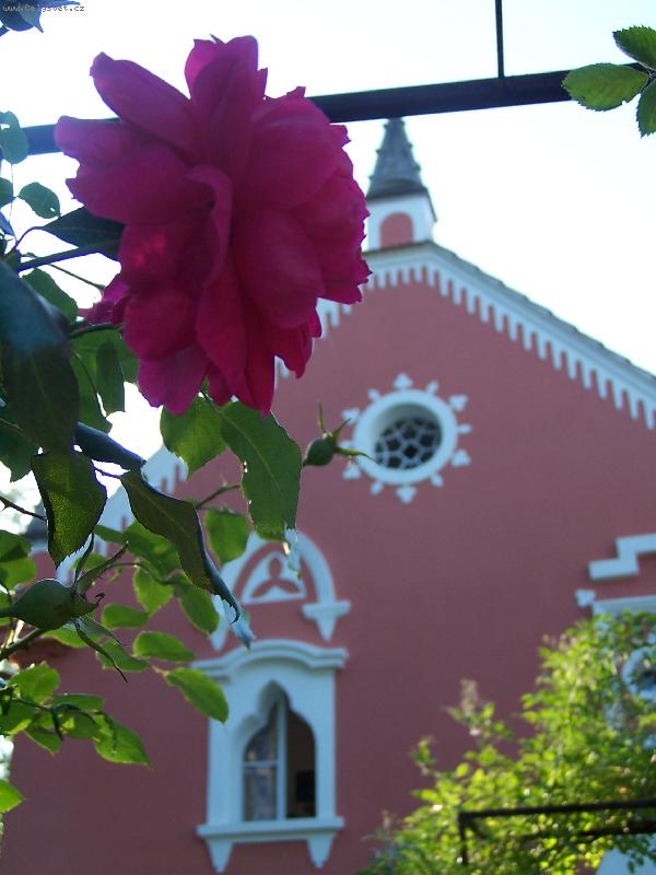 Foto: Taky to vid�m-J� a moje ���a