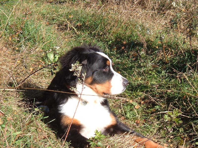 Foto: n� mil��ek