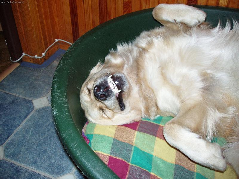 Foto: Baru�ka-odpo�inek