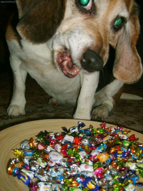 Foto: a te� v�s v�echny sn�m...!