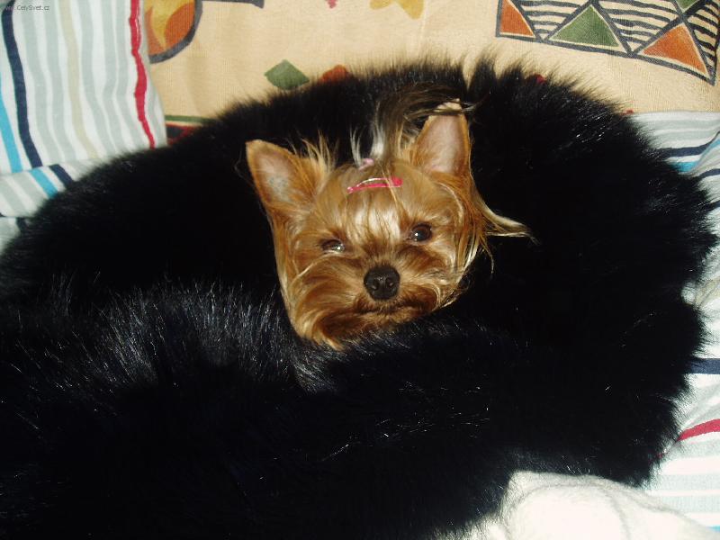 Foto: Vendulka-pohoda