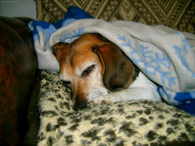 Foto: a te� m� nechte sp�t