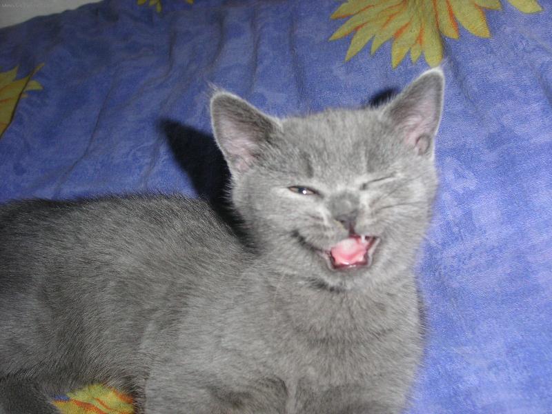 Foto: My�ov� t�este se!Cha cha ch�������