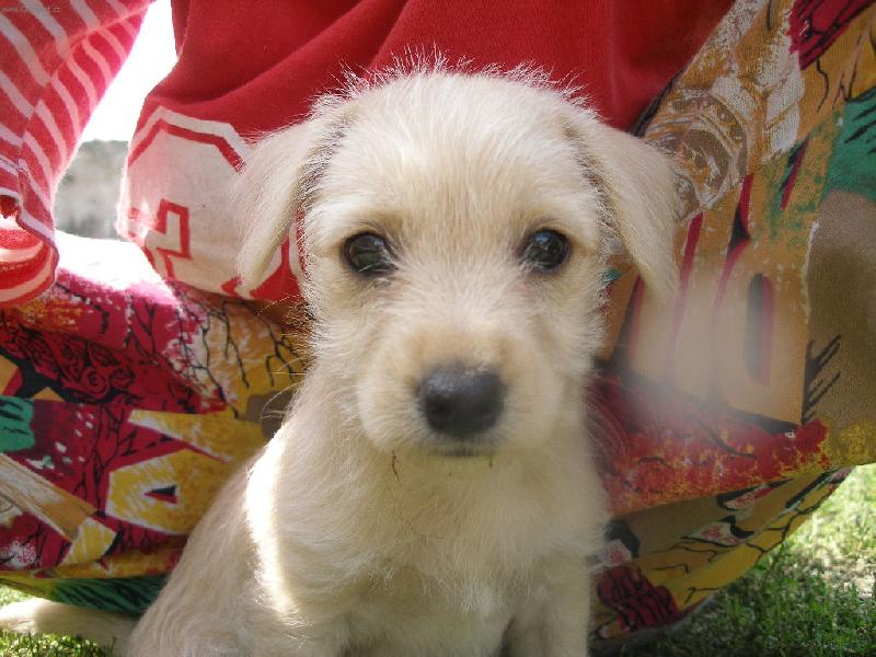 Foto: Na�e T�nu�ka