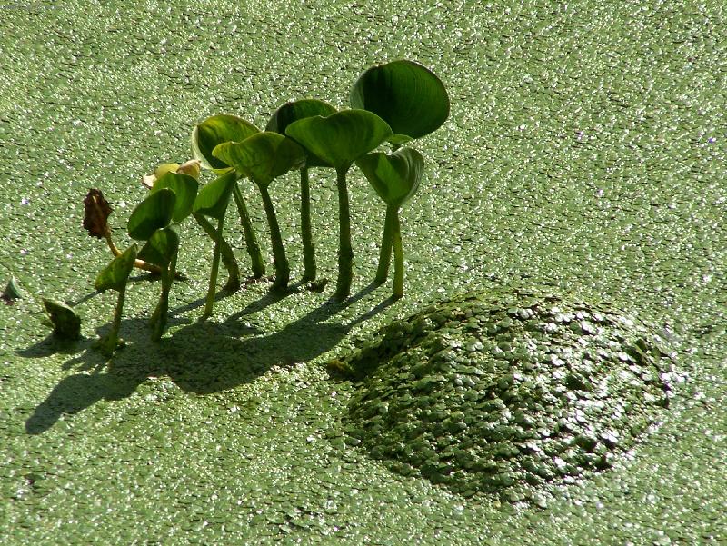 Foto: �ab� sv�t