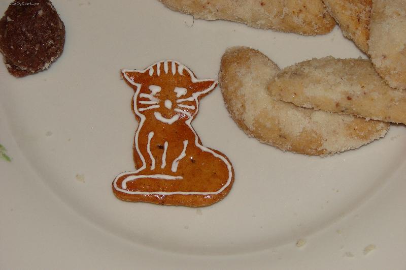 Foto: V�no�n� ko�ka