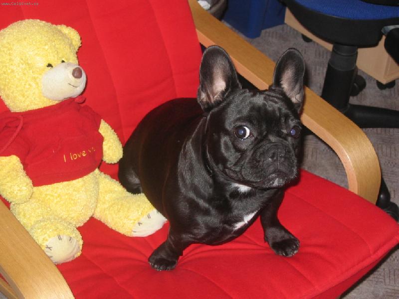 Foto: B�ra-modelka