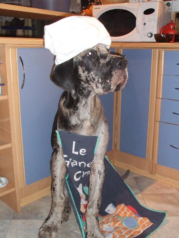 Foto:  Kucht�k Tylda