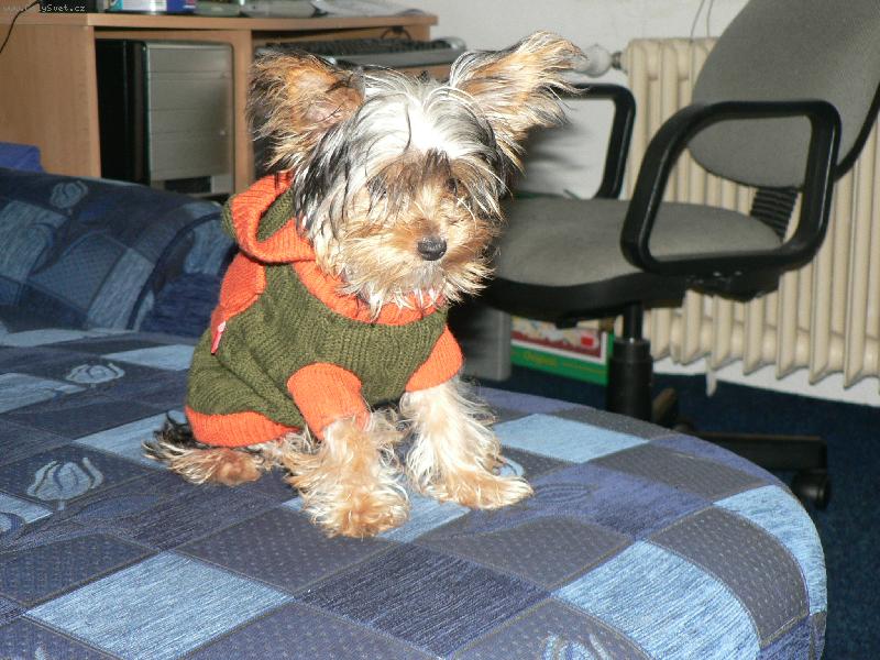 Foto: to je tepl��ko?-doma