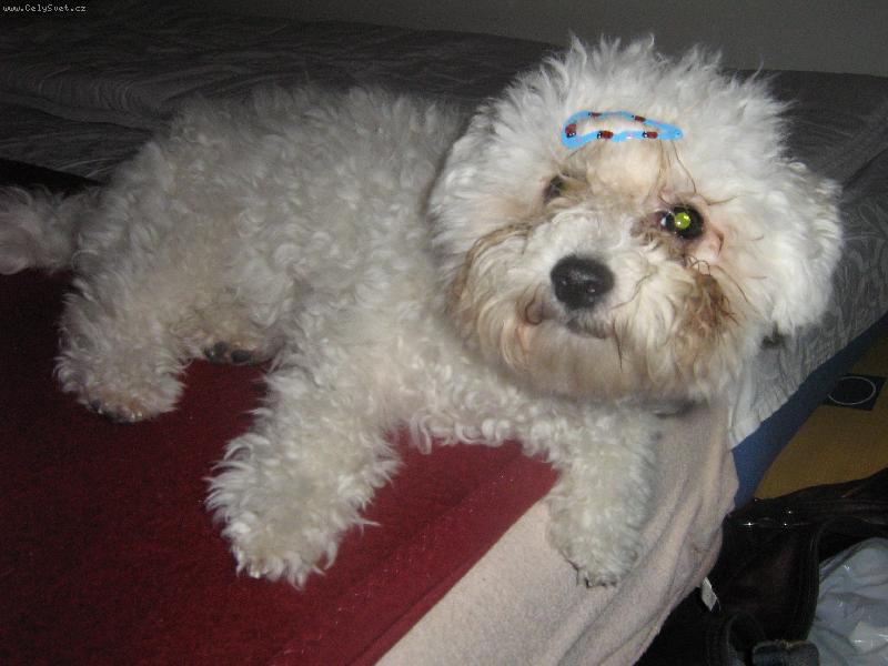 Foto: Kuk-Shereenka na posteli