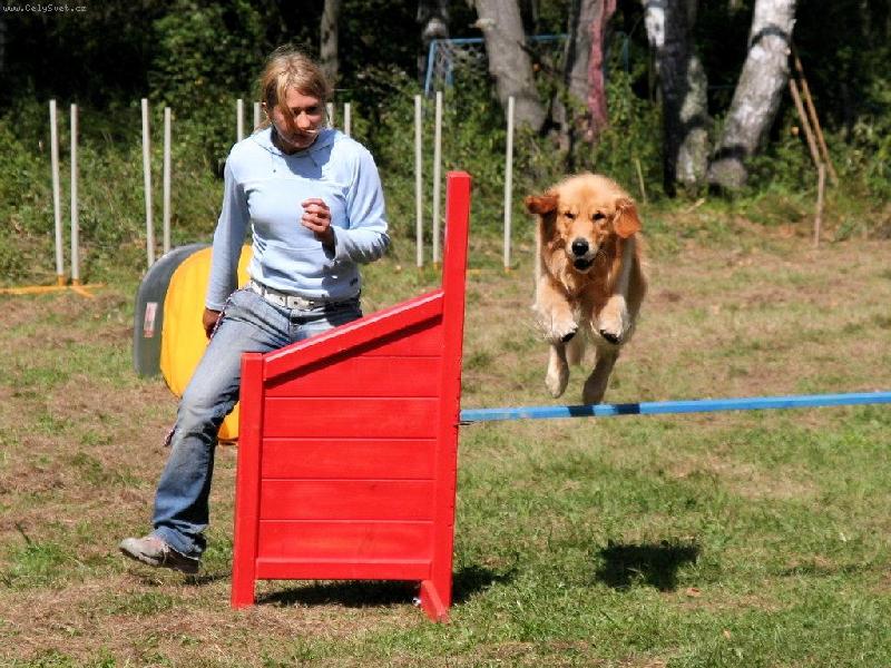 Foto: Sany a agility