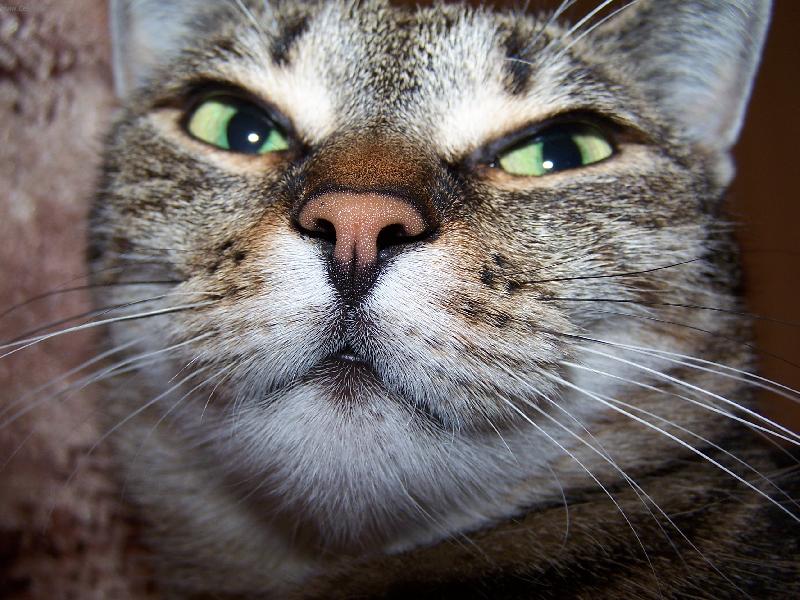 Foto: Mery I.-Buddha Osv�cen�