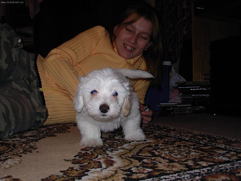 Foto: Dan�sek-Ahoj ja jsem Dan�sek