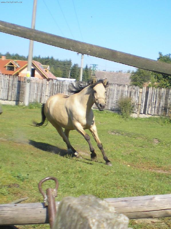 Foto: ��a-ve cvalu