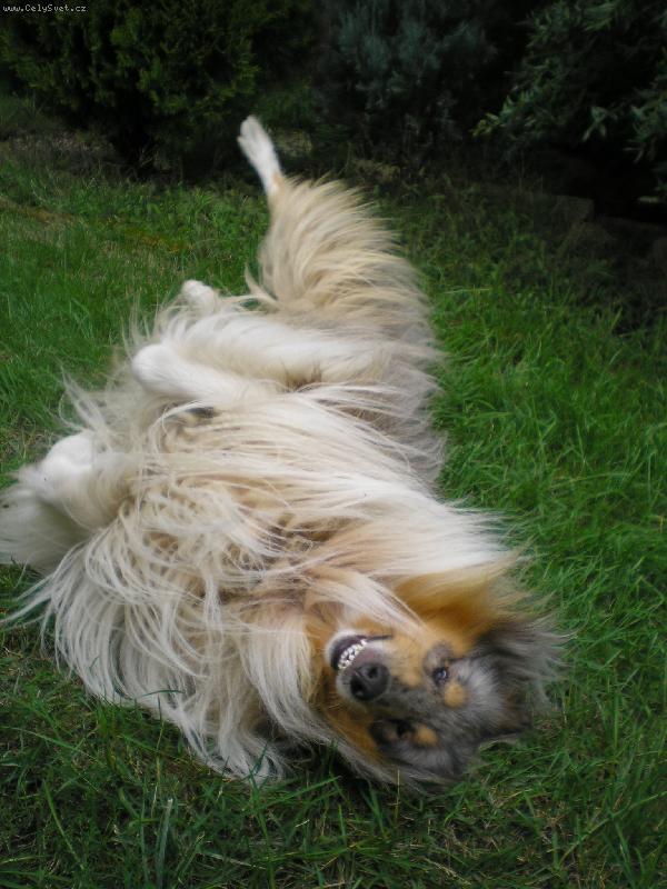 Foto: Lord-To je slast...