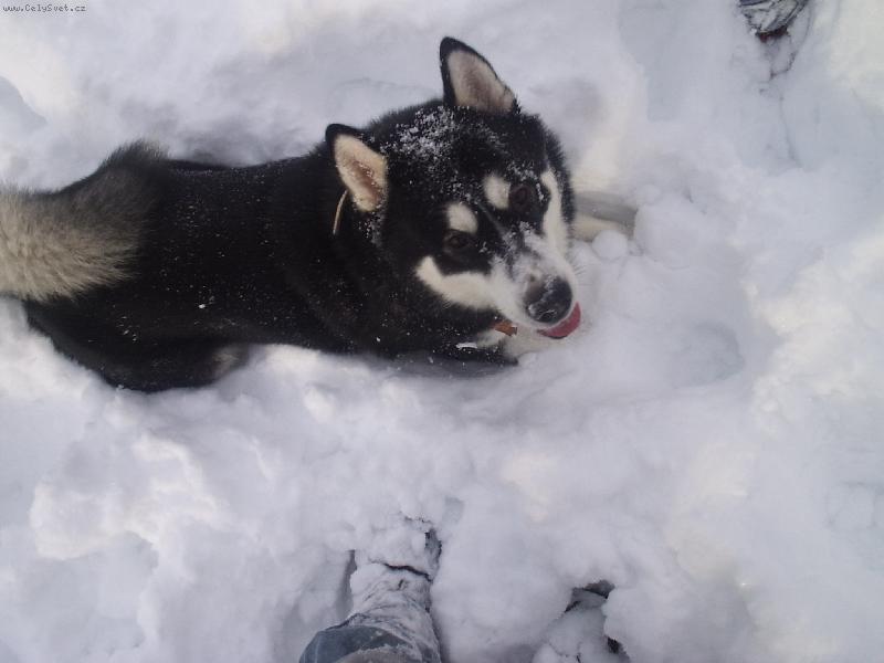 Foto: Sn�h to je moje