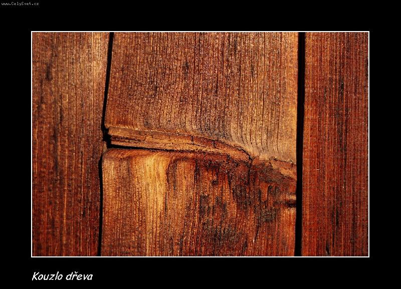 Foto: Kouzlo d�eva