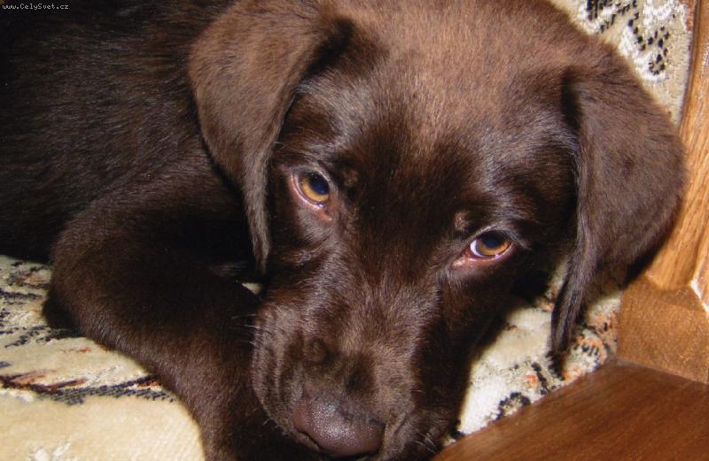 Foto: Co bych tak vyvedl???